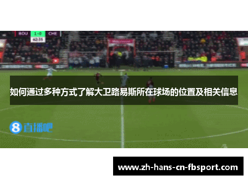 如何通过多种方式了解大卫路易斯所在球场的位置及相关信息